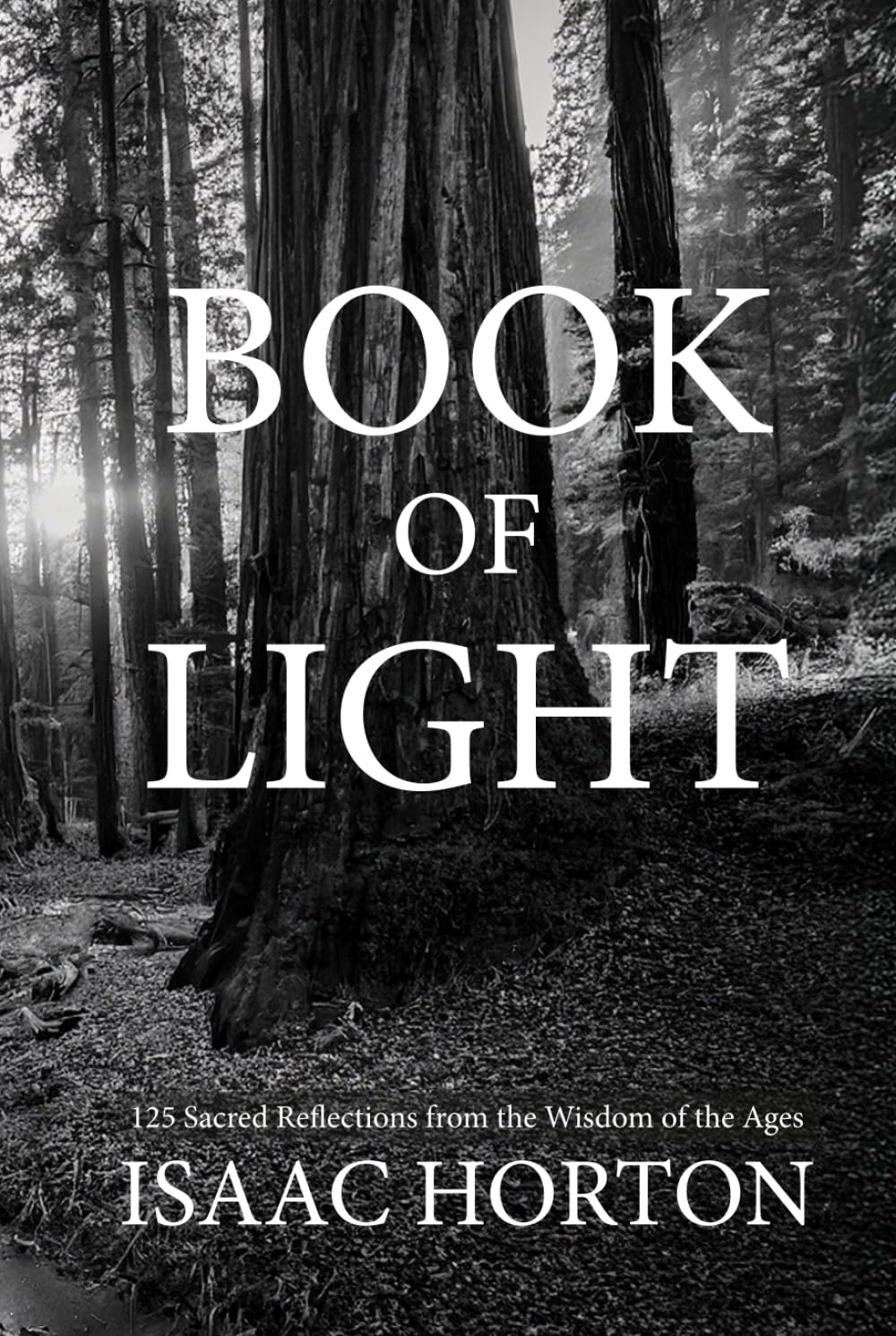 Book of Light logo