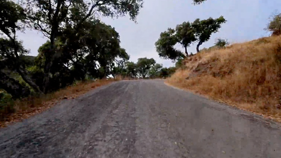Creek Road Driving Video 8mm